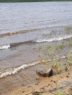 kuvassa ranta ja rannalla kivi